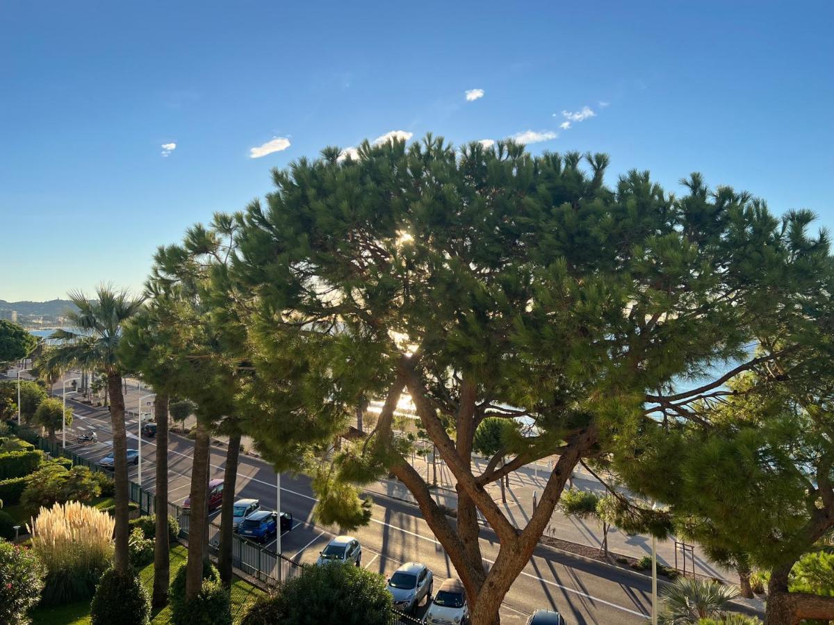 Vacances Paradisiaques, Plage Cannes Boccacabana, Studio Exterior foto